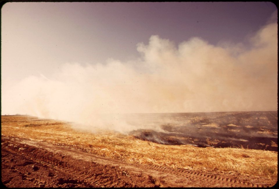 Burning-the-straw-clears-the-field-in-25-minutes-and-enables-the-farmer-to-plant-another-crop-may-1972 7136498419 o