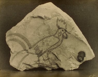 Burton Tutankhamun tomb photographs 1 049
