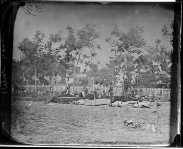 Burying Confederate dead, Fredericksburg, Va - NARA - 524749 photo