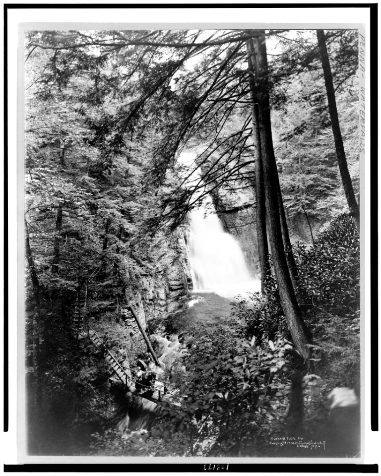 Bushkill Falls, Pa. LCCN93508327