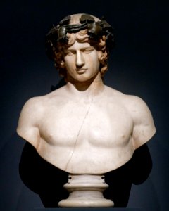 Bust Antinous Hermitage GR-4220 n1