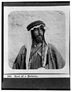 Bust of a Bedouin LCCN2001695618