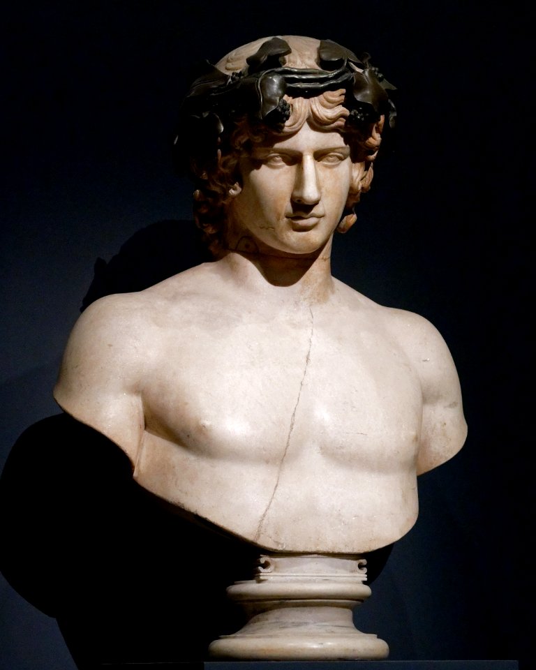Bust Antinous Hermitage GR-4220 n2