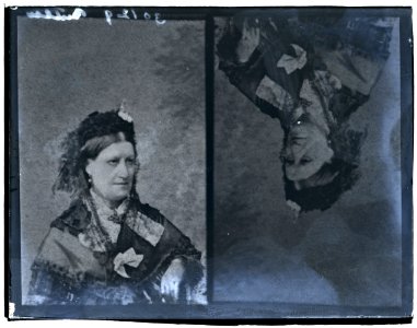 Butler, 12 Jul 1909 (17065223251)