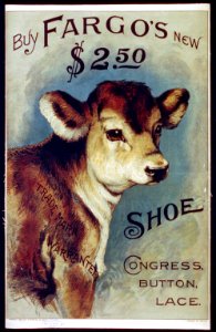 Buy Fargo's New $2.50 shoe LCCN2002719951