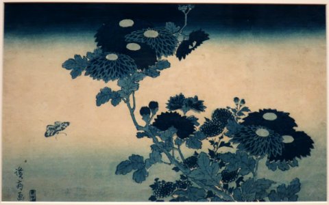 Butterfly and Chrysanthemums by Keisai Eisen, Honolulu Museum of Art
