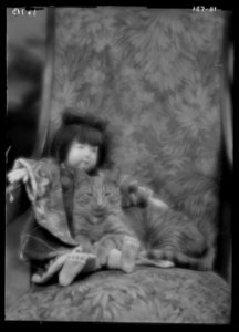 Buzzer the cat, portrait photograph LOC agc.7a13390