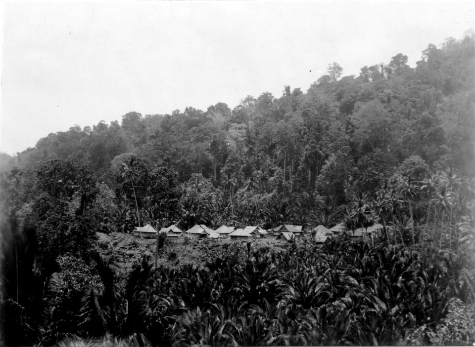 Byn Molino. I förgrunden sagopalmer. Banggaai, Sulawesi. Indonesien - SMVK - 000376