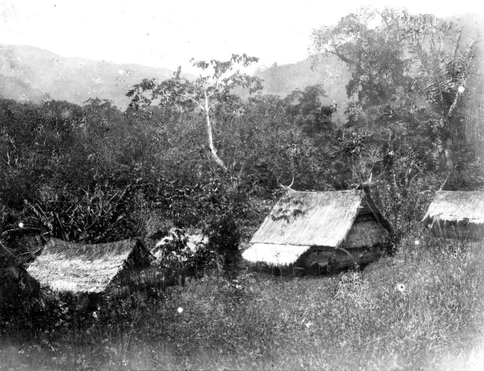 Byn Tipe, Lokal, Tobakoe, Central-Celebes. Foto av Walter Kaudern, okt. 1918. Tipe, Tobakoe - SMVK - 010809b