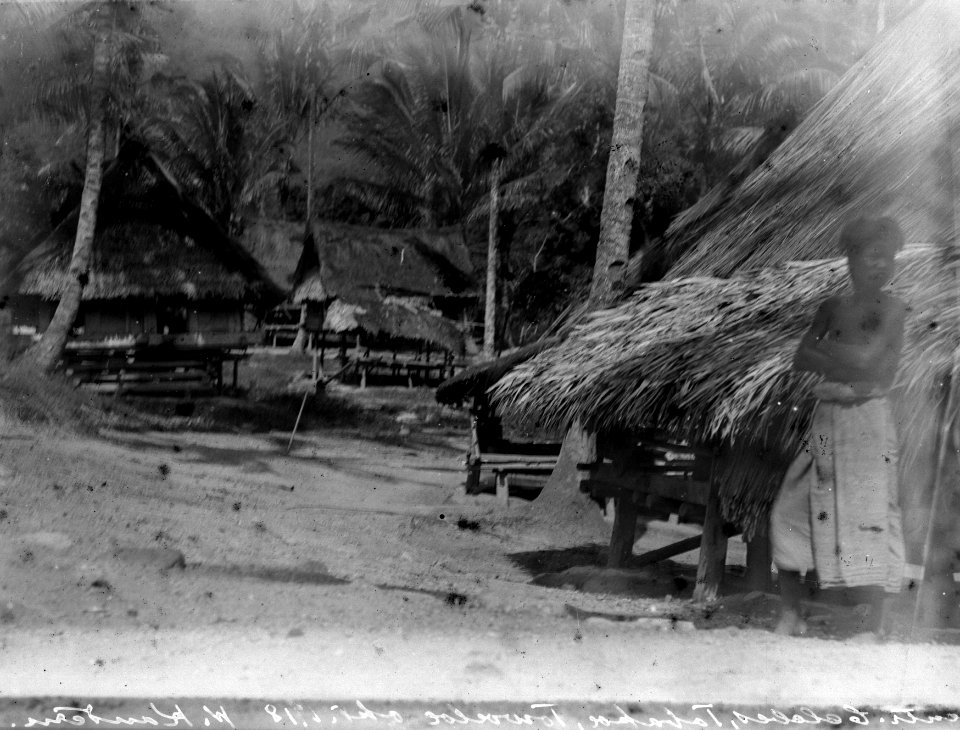 Byn Towoeloe (prickig plåt). Tobakoe. Indonesien - SMVK - 022149