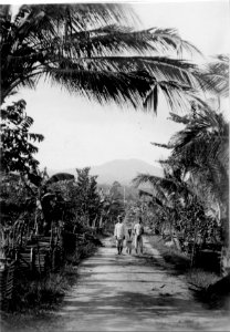 Bygatan. Byn Tongke. Sulawesi, Banggaai. Indonesien - SMVK - 000247