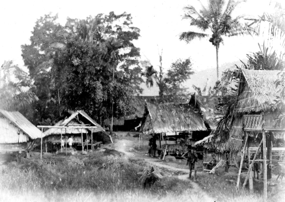 Byn Lempe in vid Kantewoe. Lokal, Kantewoe, Central-Celebes. Stam, Foto, Walter Kaudern, 19 okt - SMVK - 010780