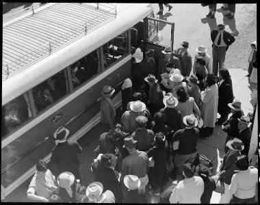 Byron, California. Evacuees of Japanese ancestry boarding a bus for the Turlock Assembly center, si . . . - NARA - 537892 photo
