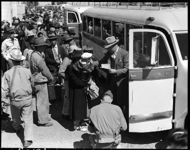 Byron, California. Farm families of Japanese ancestry boarding buses for Turlock Assembly Center 65 . . . - NARA - 537457
