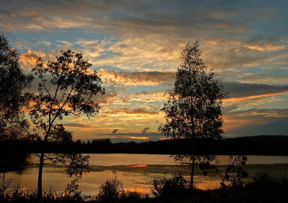 Twilight summer landscape
