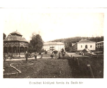 Bártfafürdő - Erzsébet-királyné forrás és Deák-tér (10)