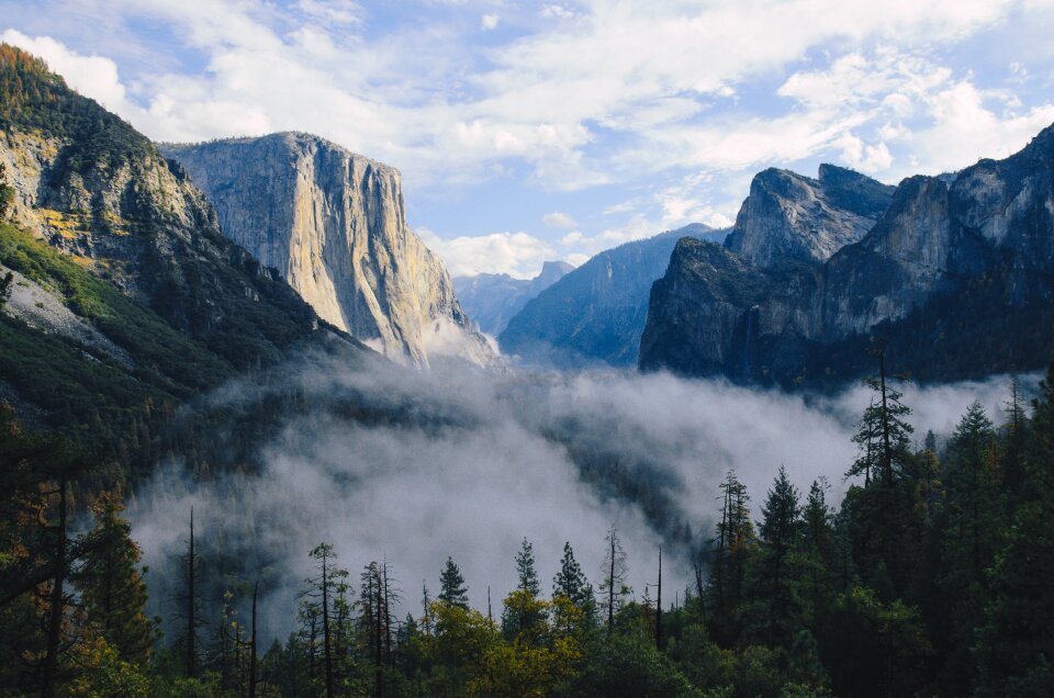 Rock cliff trees photo