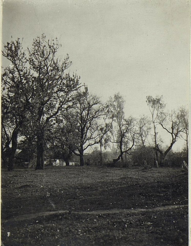 Bäume beim jüdischen Friedhof in Wladimir Wolinsky (BildID 15694440)