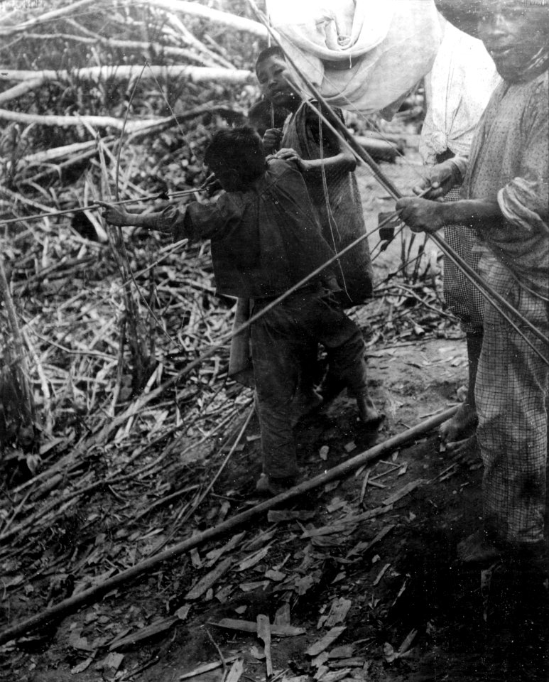 Bågskytte. Lokal, Nordöstra Bolivia. Stam, Yuracáre. Bolivia - SMVK - 005552