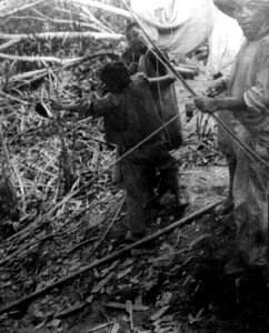 Bågskytte. Lokal, Nordöstra Bolivia. Stam, Yuracáre. Bolivia - SMVK - 005552