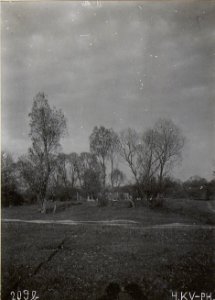 Bäume beim jüdischen Friedhof in Wladimir Wolinsky (BildID 15694433)