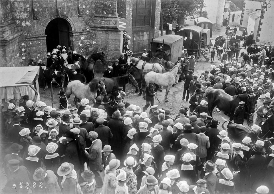 Bénédiction des chevaux 1924