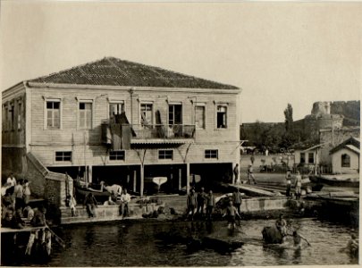 Büffel erquicken sich durch ein Seebad in Canakkale Tschanak Kalè. (BildID 15545609)