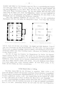 Bünker 1902 S 055 sw