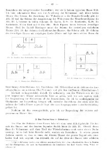 Bünker 1902 S 042 sw