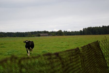 Rural wire fence field photo