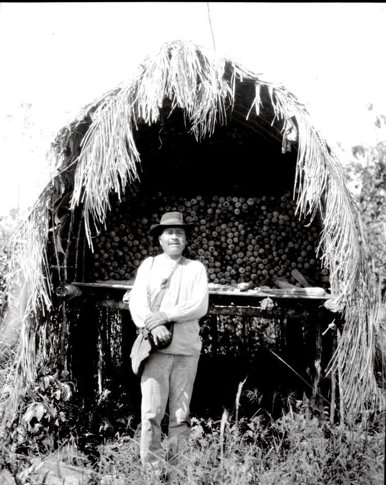 C. Indianen Salvador framför sin majslada. Missionsstn. Cavinas, nära R. Beni, Bolivia - SMVK - 005026