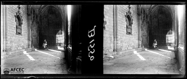 Claustre de la catedral de Barcelona