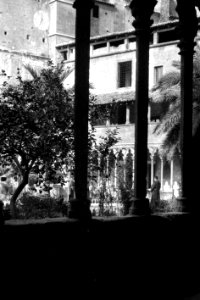 Claustre de Sant Francesc (FMF P 023a)