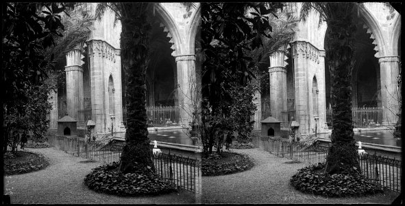 Claustre de la catedral de Barcelona amb un estany i una oca