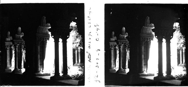 Claustre de Sant Pau del Camp (SaP 048 06)