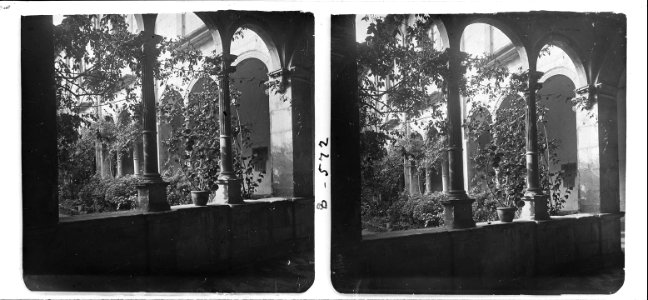 Claustre del monestir de Sant Esteve de Banyoles
