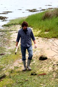 Clean the Bay Day 2016 (26831686344)