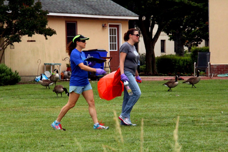 Clean the Bay Day 2016 (27164286620)