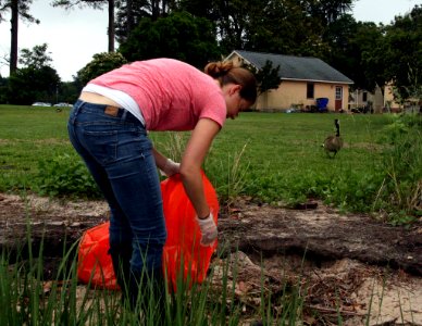 Clean the Bay Day 2016 (27164302930)