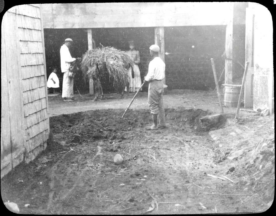 Cleansing Hotel yard, Georgetown YORYM-TA0101