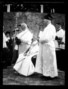 Clergymen at outdoor religious service LCCN2016863172