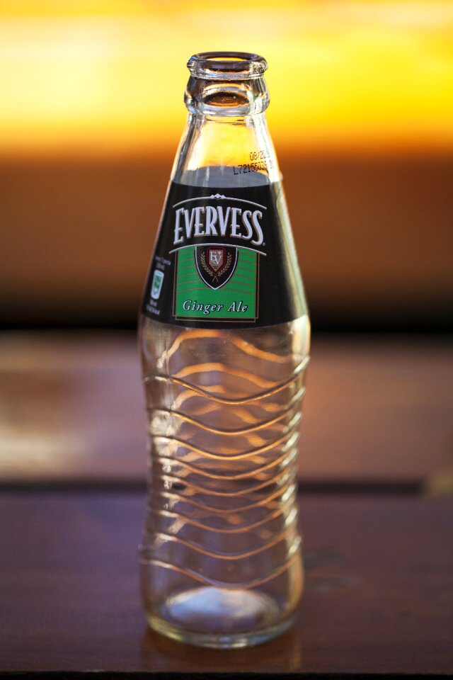 Evervess tonik ginger