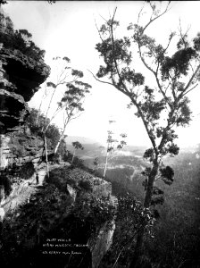 Cliff walls, Hydro Majestic, Medlow Baths