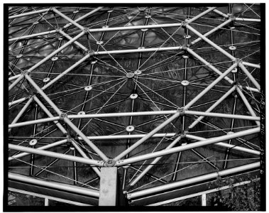 Climatron - DETAIL OF STRUCTURE, HABS MO,96-SALU,105L-6