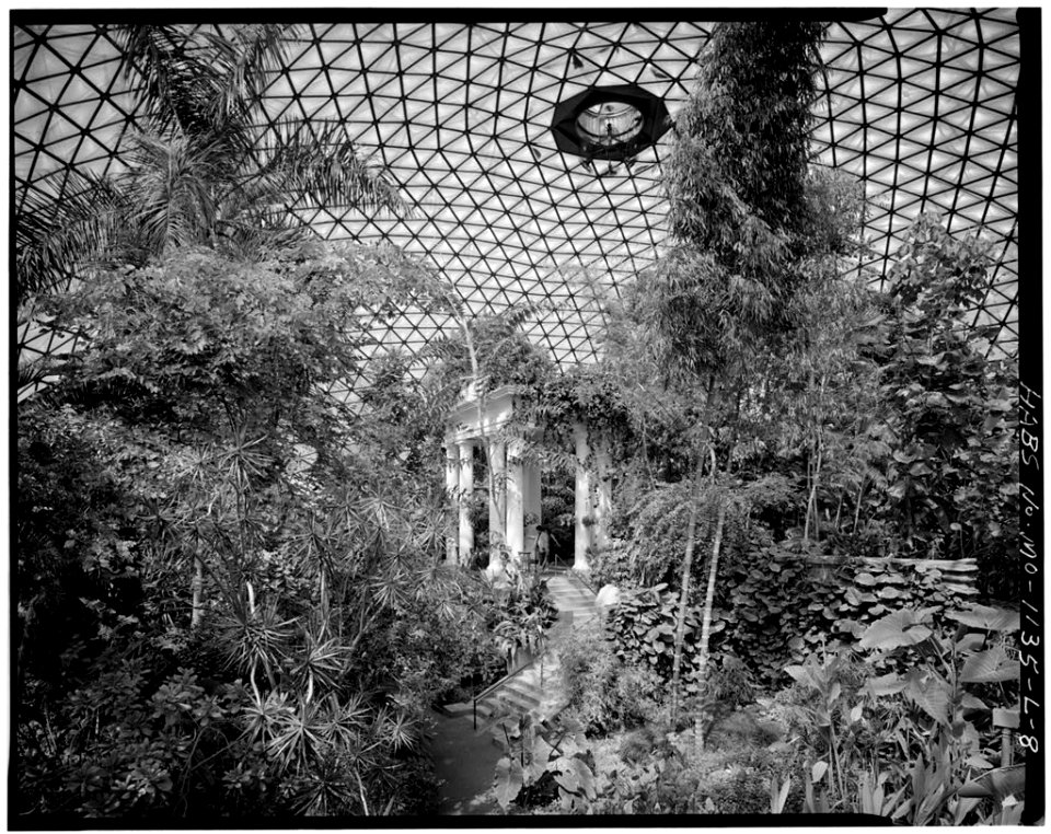 Climatron INTERIOR VIEW, HABS MO,96-SALU,105L-8