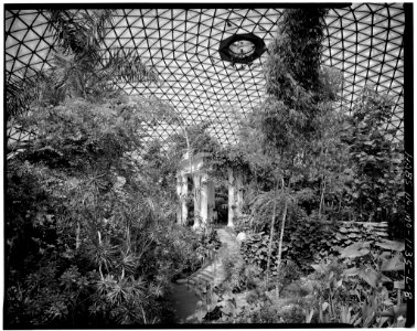 Climatron INTERIOR VIEW, HABS MO,96-SALU,105L-8