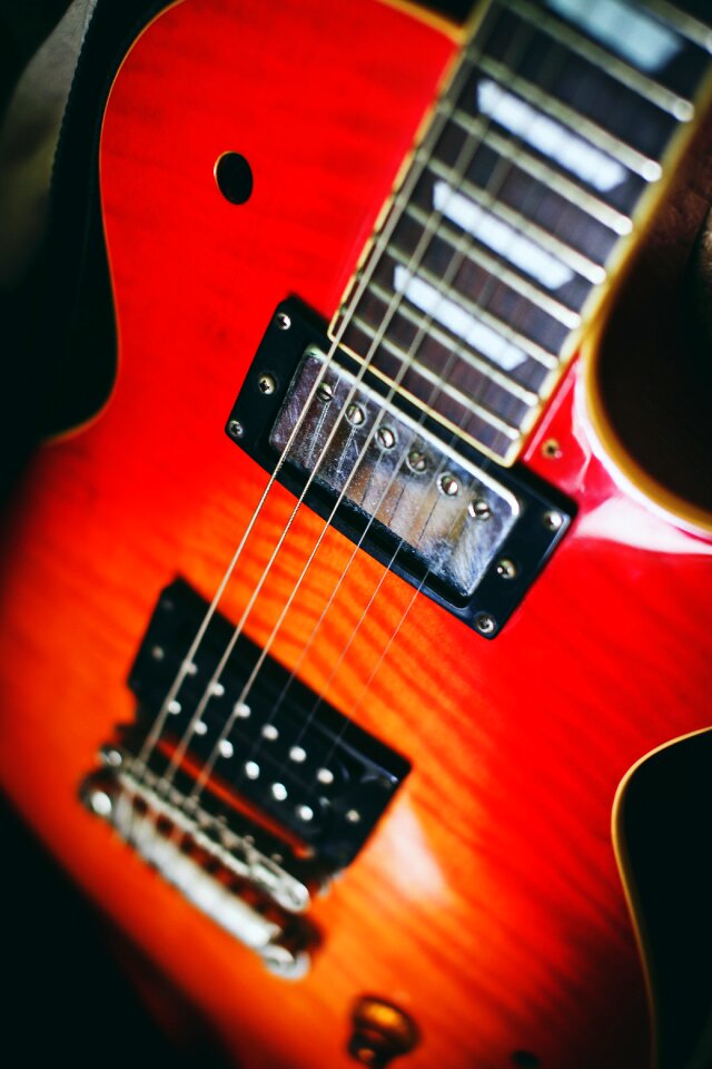 Korea les paul strings photo