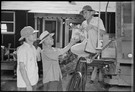Closing of the Jerome Relocation Center, Denson, Arkansas. M. Inada helps his neighbor, the Rev. H. . . . - NARA - 539801
