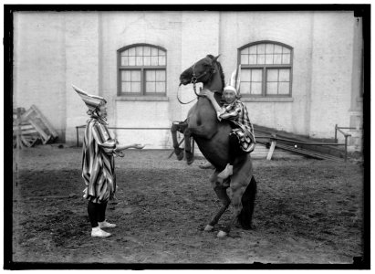 CLOWNS AND HORSE LOC hec.05801