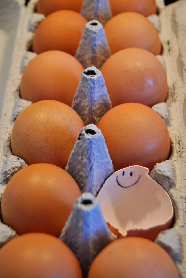 Cute egg brown egg